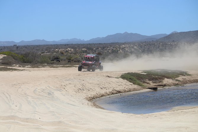Cabo Wild Desert Tour, Polaris ATV or Razor Single, Double, Triple or Quad! - Should you book this Cabo Wild Desert Tour?