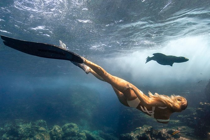 Cabo Wildlife Safari - Price and value: what $109 buys you on this 2.5-hour safari