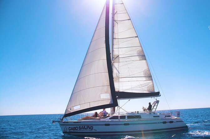 Cabos Original Sunset Cruise To The Arch - Lover’s Beach and the coastal rhythm: what the route actually feels like