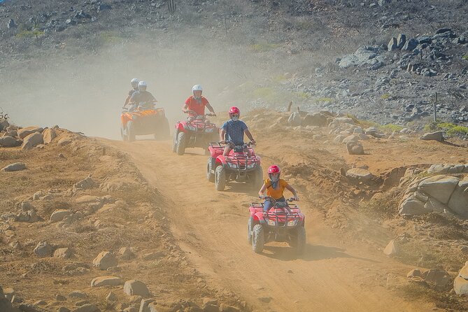 Cactus Combo Combine two of your favorite desert tours - Guides make the experience: Gilbert, Tony Flores, Javier, and more