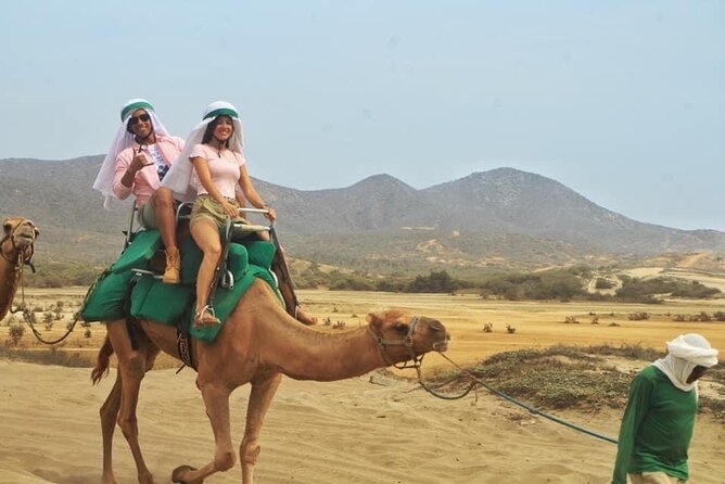 Cactus Combo Combine two of your favorite desert tours - Phone and photo restrictions: plan for the real-world policy