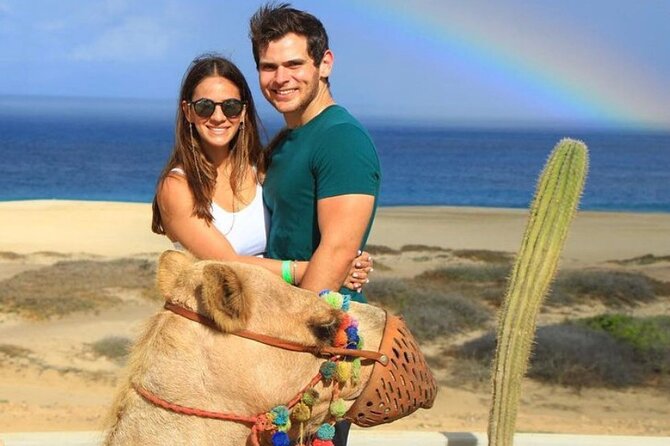 Camel Encounter and Safari Ride with Lunch and Alcohol Tasting - Key Highlights I’d Put on Your Must-Do List