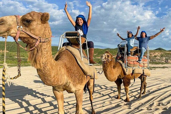 Camel Encounter and Safari Ride with Lunch and Alcohol Tasting - Camel Ride on Cabo Beach: Why This One Feels Different