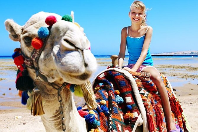 Camel Encounter and Safari Ride with Lunch and Alcohol Tasting - Getting There: Pickup From Hotels and the G-Force Adventures Start