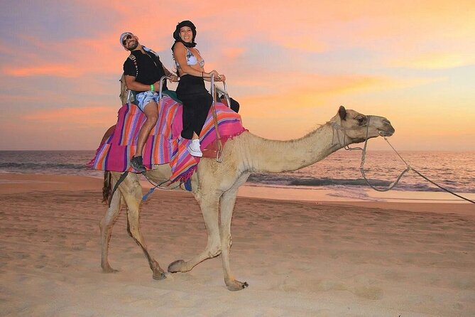 Camel Encounter and Safari Ride with Lunch and Alcohol Tasting - The Camel Handlers: What to Look For (And Who Might Be Your Guide)