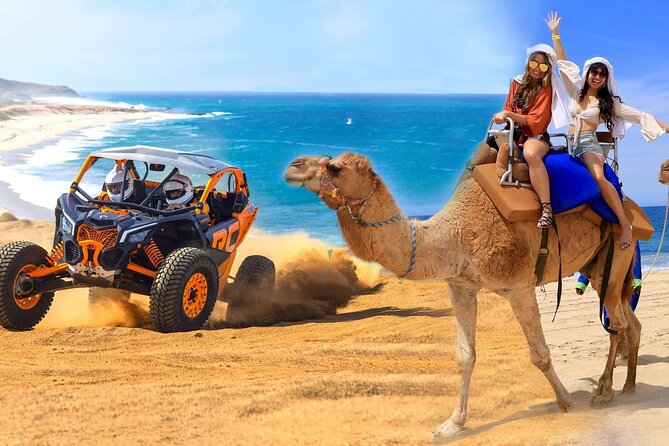 Camel Ride and UTV Combo Adventure, with Tequila Tasting - Key highlights to know before you go