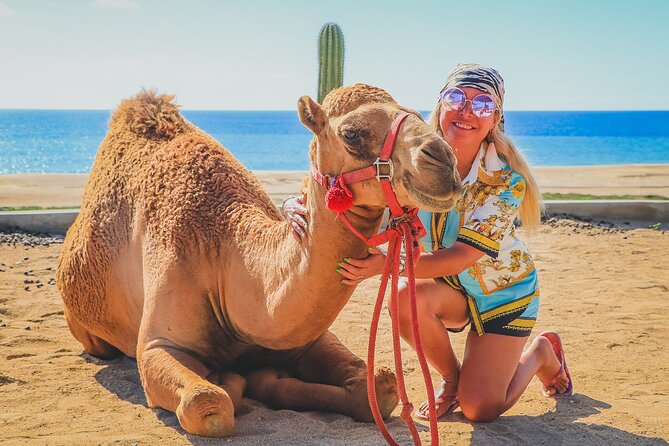 Camel Ride and UTV Combo Adventure, with Tequila Tasting - Baja desert speed on UTVs or single ATVs: the adrenaline section