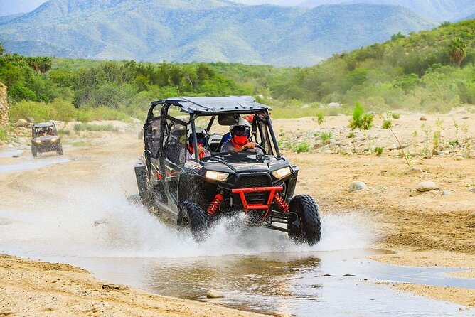 Camel Ride and UTV Combo Adventure, with Tequila Tasting - Tequila tasting at the ranch: 20 minutes, multiple samples