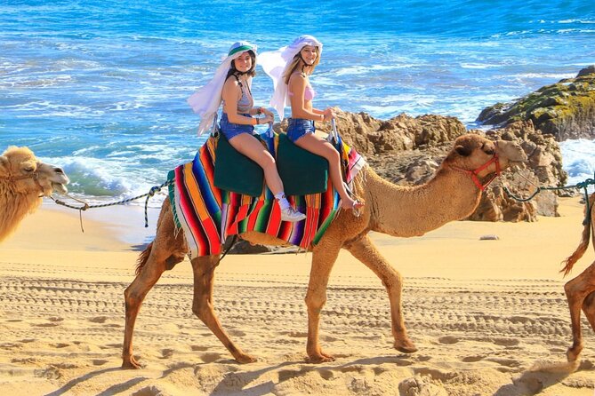 Camel Ride and UTV Combo Adventure, with Tequila Tasting - Playa Migrino camel safari: dunes, Pacific views, and camel culture