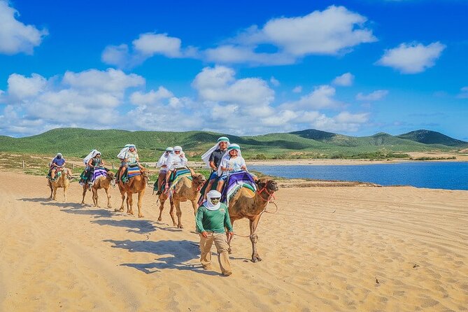 Camel Ride & ATV Combo in Migriño, Mexico - Key highlights to know before you go