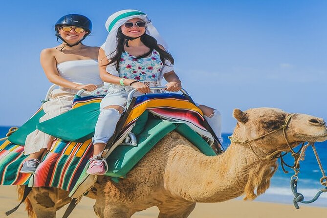 Camel Ride & ATV Combo in Migriño, Mexico - Two rides, one wild beach day at Migriño Beach