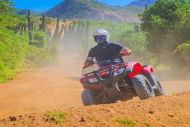 Camel Ride & ATV Combo in Migriño, Mexico - Gearing up plus a small animal stop before you ride