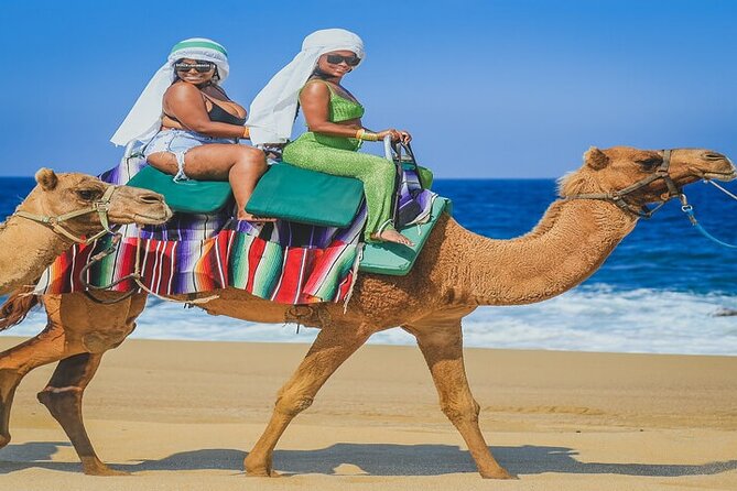 Camel Ride & ATV Combo in Migriño, Mexico - Camel ride hour: what it feels like and why the guides matter