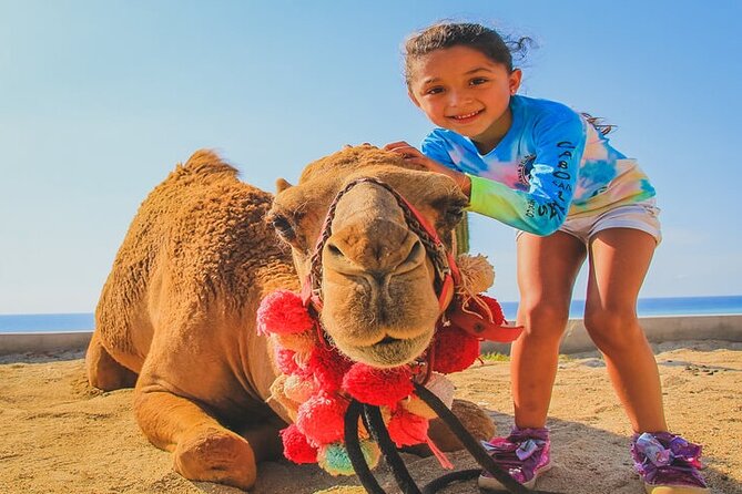 Camel Ride & ATV Combo in Migriño, Mexico - Migriño Beach wildlife stop and the movie trivia connection