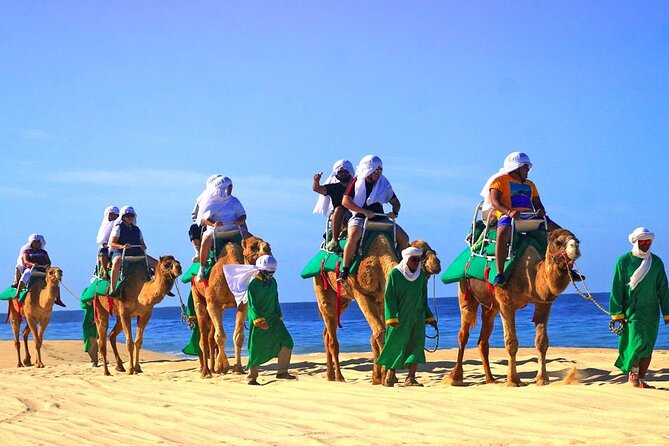 Camel Ride & Encounter at Los Cabos - Pickup, Small Groups, and Avoiding Timing Headaches
