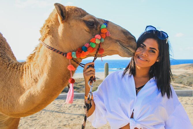 Camel Ride Experience in Los Cabos with Pick up and Lunch - Key Highlights at a Glance