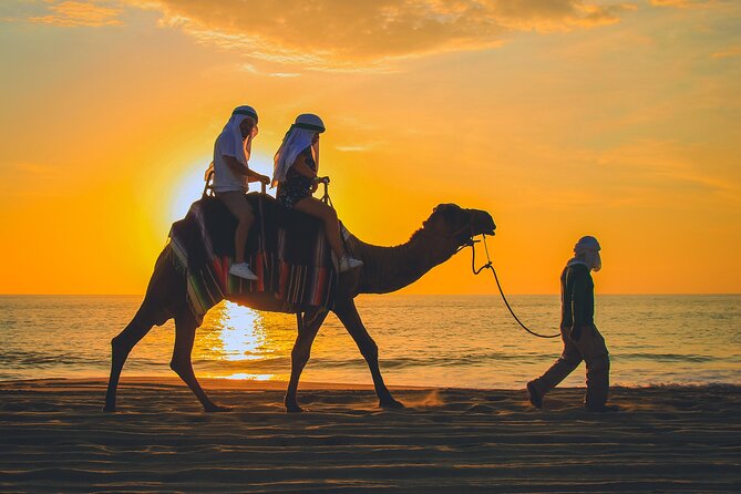Camel Ride Experience in Los Cabos with Pick up and Lunch - Migriño Beach Camel Ride: What the 2 Hours Actually Feel Like