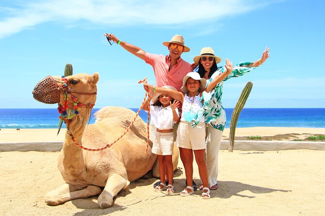 Camel Ride Experience in Los Cabos with Pick up and Lunch - The Beach, Dunes, and Desert Route (and What You’ll Notice)