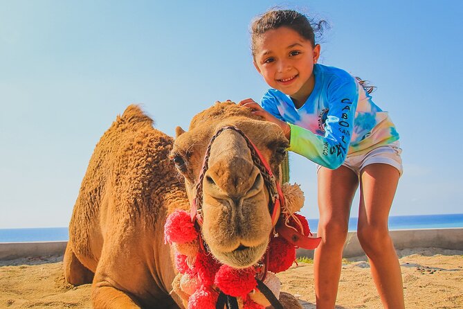 Camel Ride Experience in Los Cabos with Pick up and Lunch - Safety, Comfort, and Who This Tour Is For