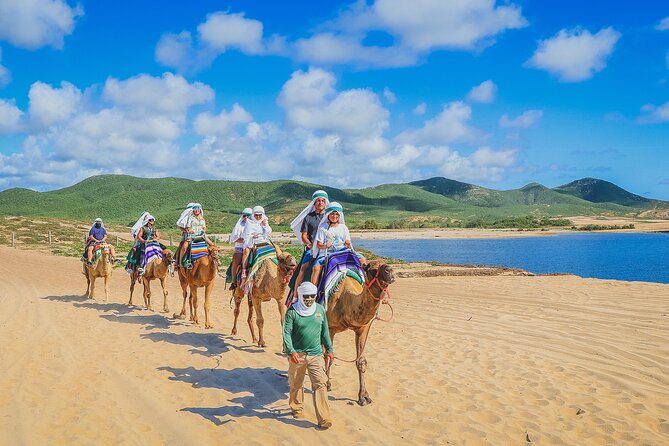 Camel Ride Experience in Los Cabos with Pick up and Lunch - Photos, Video, and Getting the Proof You Wanted