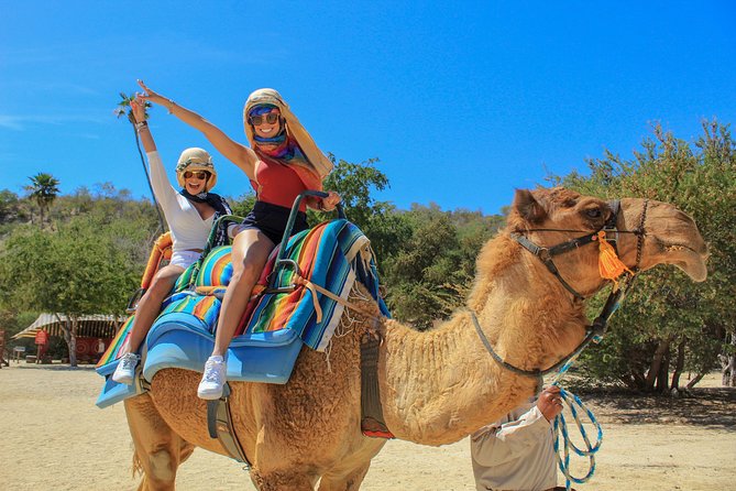 Camel Ride in the Canyon + Thrilling Water-Slides & Snacks - Key Highlights You Should Know Before You Go