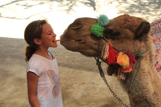 Camel Ride in the Canyon + Thrilling Water-Slides & Snacks - Wild Canyon Extras: Slides, Canyon Bridge Photos, Bikes, and More