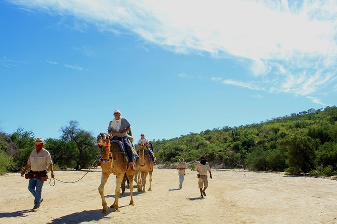 Camel Ride in the Canyon + Thrilling Water-Slides & Snacks - Food, Drinks, and What to Pack So You Are Comfortable