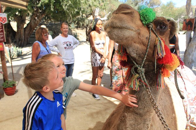 Camel Ride in the Canyon + Thrilling Water-Slides & Snacks - Price and Value: The $110 Plus the $25 Park Fee