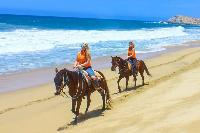 Camel Ride Tour in Los Cabos - Key highlights worth planning for