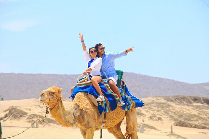 Camel riding experience on the shores of the Pacific Ocean - Key Things To Know Before You Go