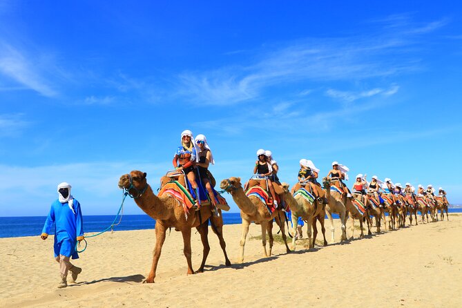 Camel riding experience on the shores of the Pacific Ocean - Stable Visit: Pet the Camels and Take Your Photos Early