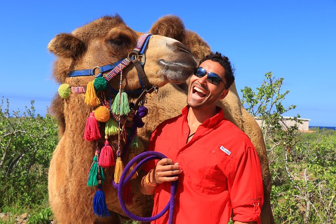 Camel riding experience on the shores of the Pacific Ocean - Bathroom Break and the Included Meal That Actually Helps
