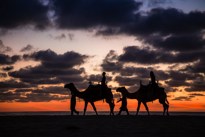 Camel riding experience on the shores of the Pacific Ocean - Price Reality Check: What You Pay Versus What Adds Up