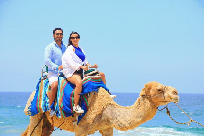 Camel riding experience on the shores of the Pacific Ocean - Pickup Timing for San Jose del Cabo and Cabo San Lucas