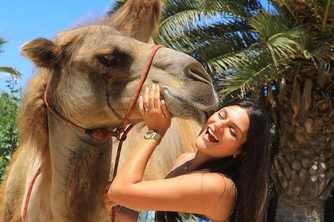 Camel Safari and Gastronomic Experience in Los Cabos - Key highlights you will feel right away