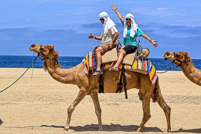 Camel Safari and Gastronomic Experience in Los Cabos - Camel ride along the Pacific beach: why this part matters