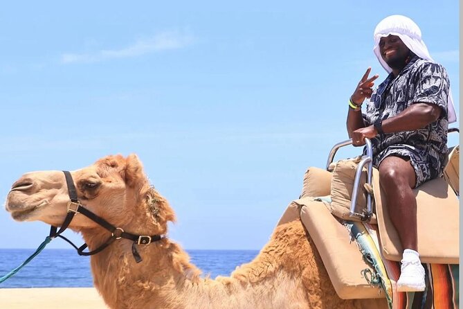 Camel Safari and Gastronomic Experience in Los Cabos - Transportation, group size, and why it feels efficient