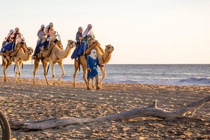 Camel Safari and Gastronomic Experience in Los Cabos - Price and value: what you are actually paying for