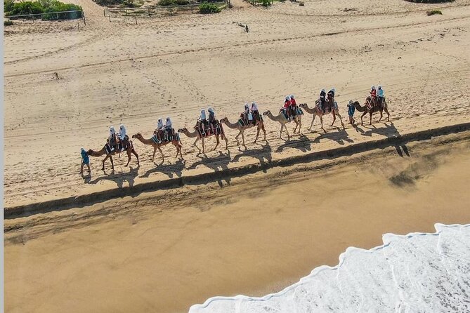Camel Safari and Gastronomic Experience in Los Cabos - Who should book this camel and gastronomy tour