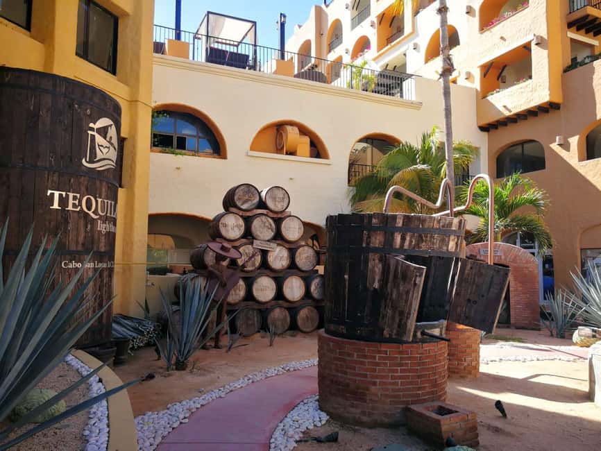 City Tour to Cabo San Lucas and Transparent boat to the Arch - Key highlights worth your time
