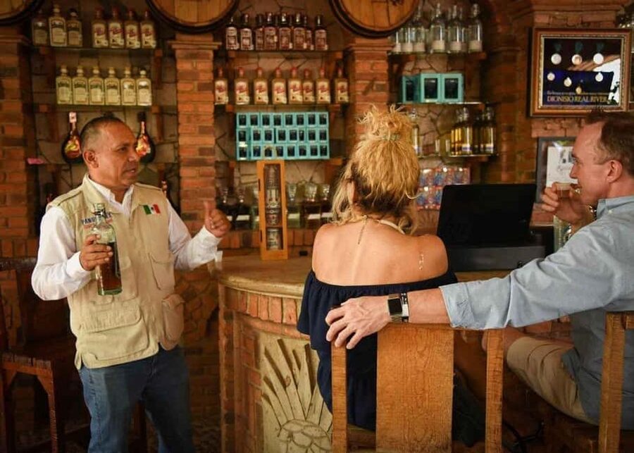 City Tour to Cabo San Lucas and Transparent boat to the Arch - Getting picked up: van details and how to avoid delays