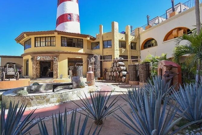 CityTour to San Jose, Cabo San Lucas and Arch Tour in Clearboat - Key Highlights You’ll Actually Notice