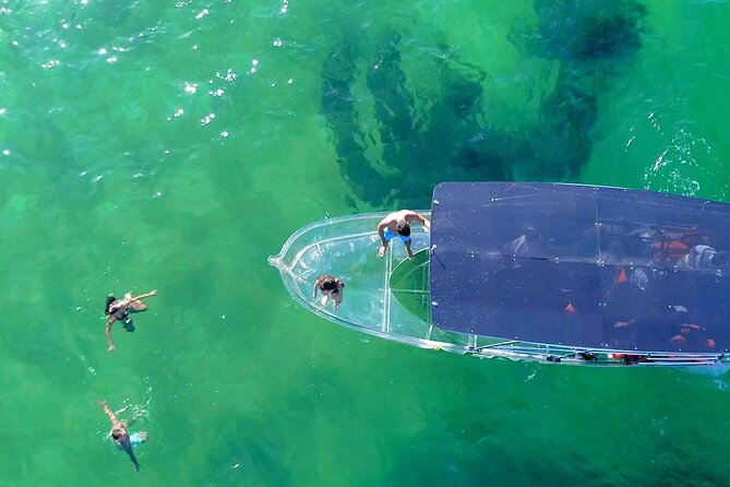Clear Boat Ride in Los Cabos - Time and group size: what the “short tour” feels like