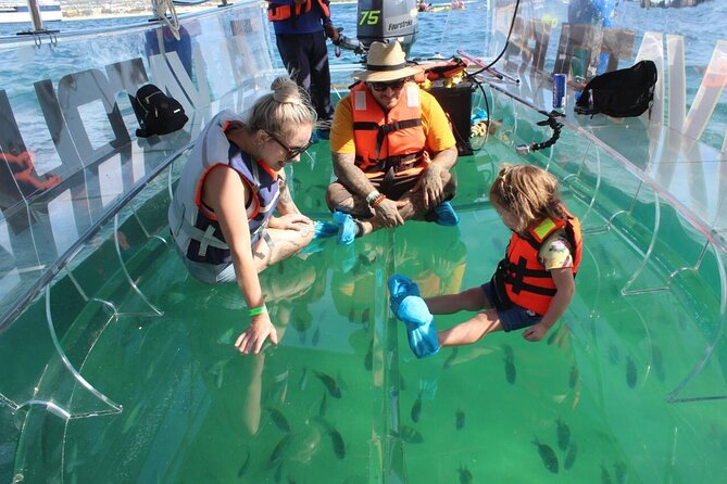 Clear Boat Ride in Los Cabos - El Arco de Cabo San Lucas: fast, scenic, and built for photos