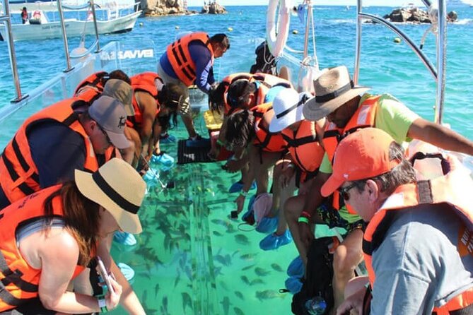 Clear Boat with City Tour - Stop 1: Arch Views, Sea Lions Colony, and a Short Clear-Boat Cruise