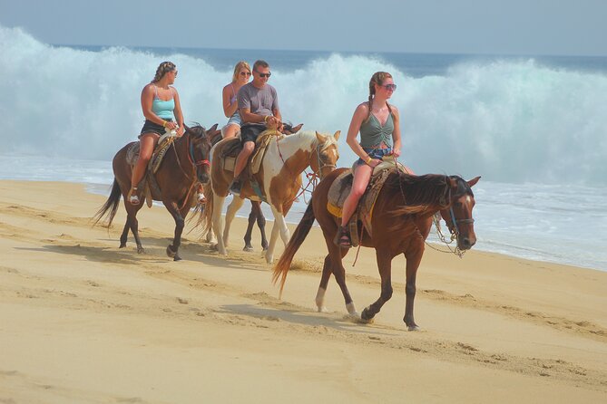 Combined ATV and Horseback Ride/Tequila Tasting - San Jose del Cabo Start: A Smooth Warm-Up Before Riding