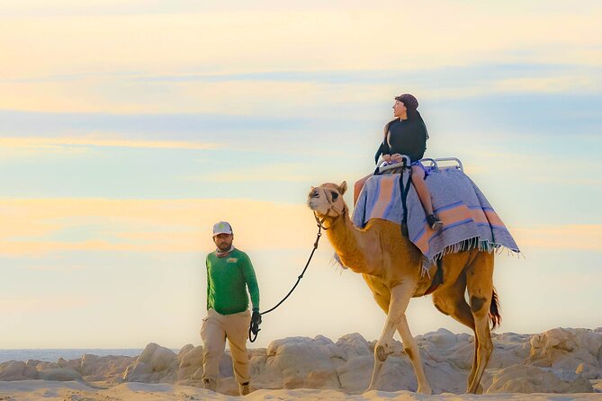 Combo 4x4 Automatic ATV and Camel Ride Tour in Cabo San Lucas - Stop 2 at Playa Migriño: Pacific dunes, possible whale sightings, and sunsets