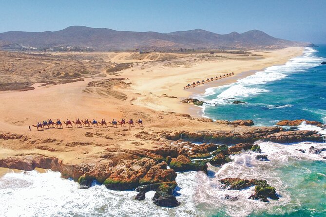 Combo 4x4 Automatic ATV and Camel Ride Tour in Cabo San Lucas - Guides and group size: why the experience can feel personal