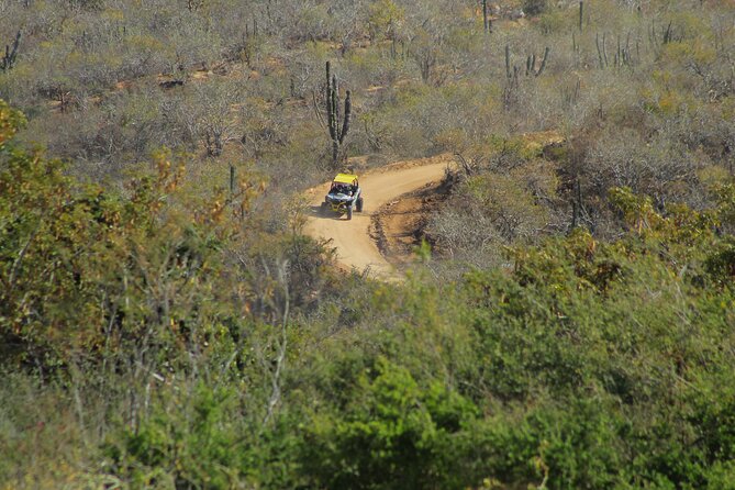 Combo Adventure with RZR and ATV or HBR and Tequila Tasting - Horse Option: A Different Pace, A Different Kind of Control