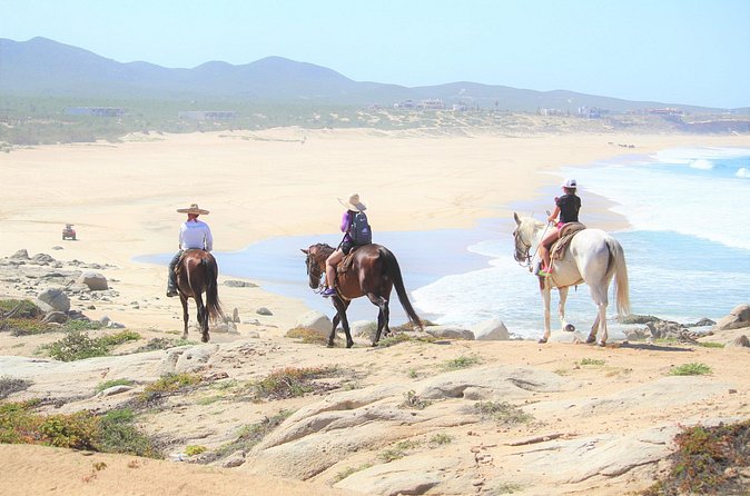 Combo Adventure with RZR and ATV or HBR and Tequila Tasting - Timing, Pickups, and Group Size: The Reality of Shared Tours